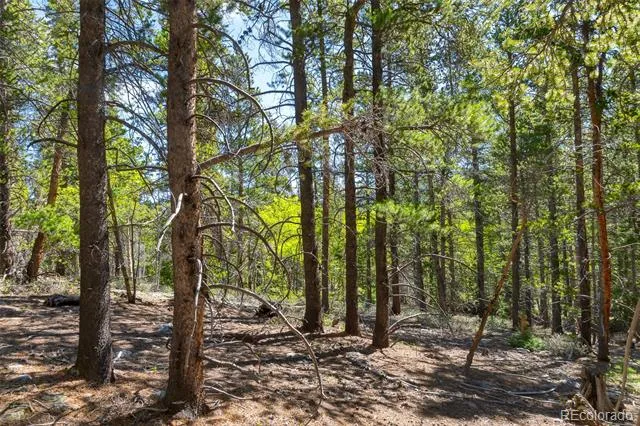 715 Lewsader Road Alma, CO 80420