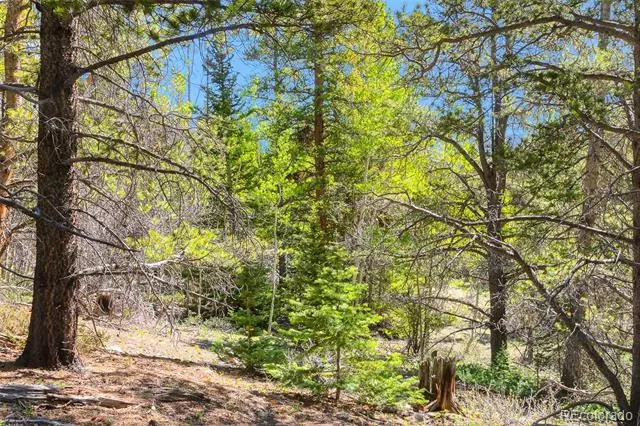 715 Lewsader Road Alma, CO 80420