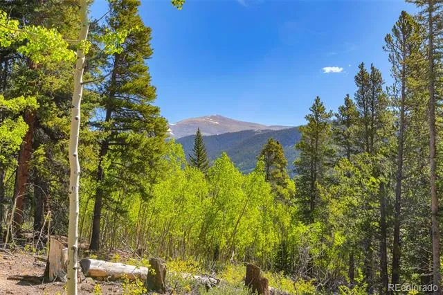 715 Lewsader Road Alma, CO 80420