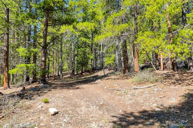 715 Lewsader Road Alma, CO 80420