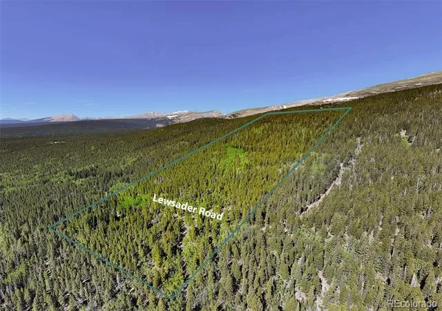 715 Lewsader Road Alma, CO 80420