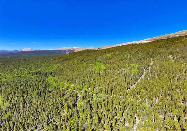 715 Lewsader Road Alma, CO 80420