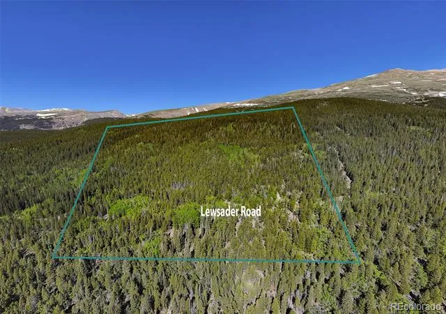 715 Lewsader Road Alma, CO 80420