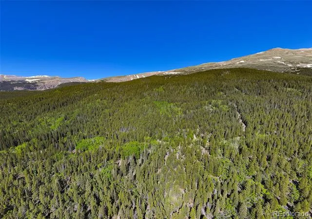 715 Lewsader Road Alma, CO 80420