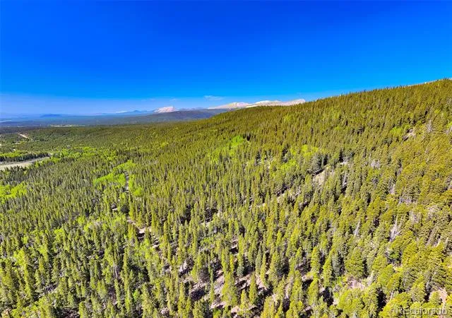 715 Lewsader Road Alma, CO 80420