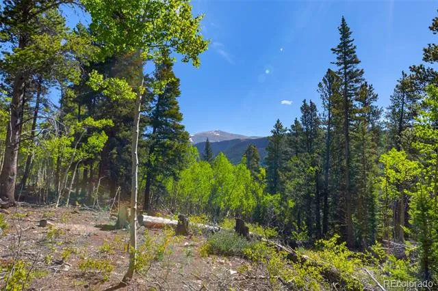 715 Lewsader Road Alma, CO 80420
