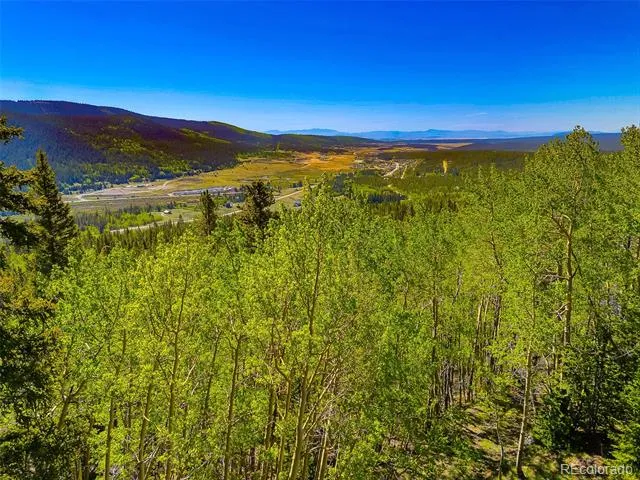 715 Lewsader Road Alma, CO 80420