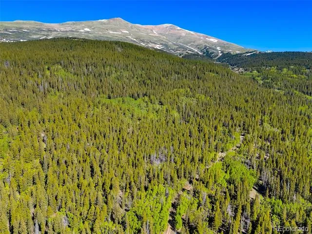 715 Lewsader Road Alma, CO 80420