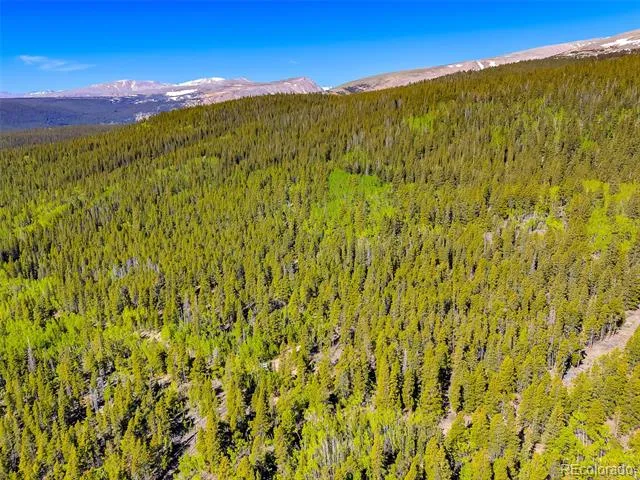 715 Lewsader Road Alma, CO 80420