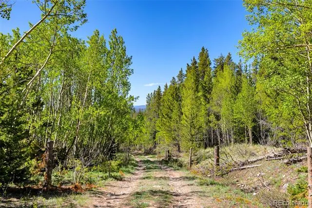 715 Lewsader Road Alma, CO 80420