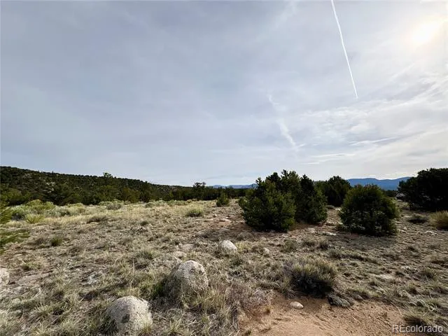 14973 Chalk Creek Drive Nathrop, CO 81236