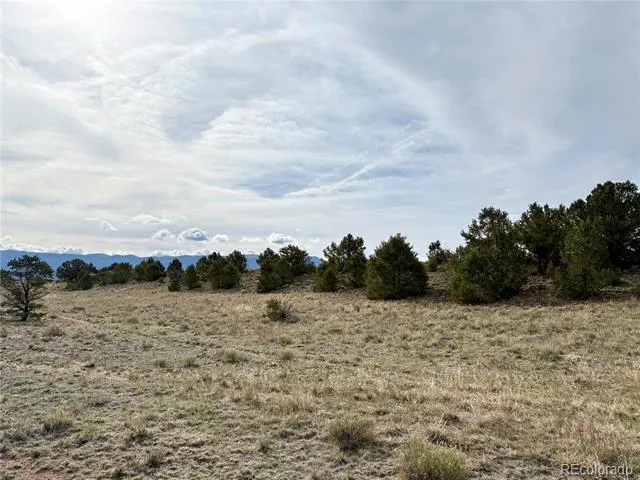 14973 Chalk Creek Drive Nathrop, CO 81236