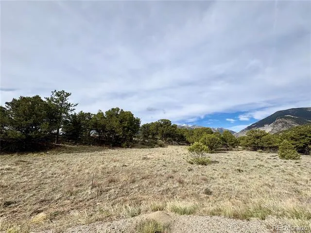 14973 Chalk Creek Drive Nathrop, CO 81236