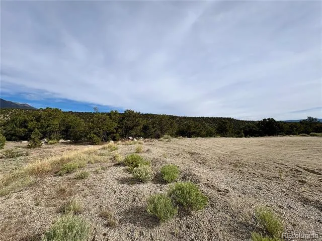 14973 Chalk Creek Drive Nathrop, CO 81236