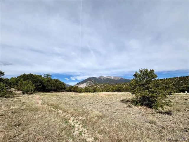 14973 Chalk Creek Drive Nathrop, CO 81236