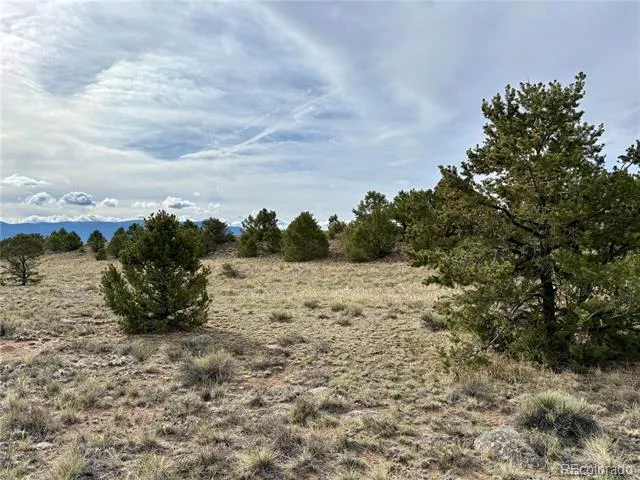 14973 Chalk Creek Drive Nathrop, CO 81236