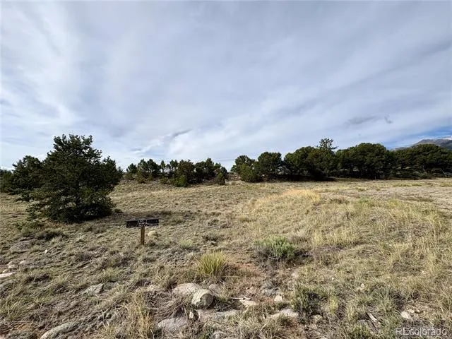 14973 Chalk Creek Drive Nathrop, CO 81236