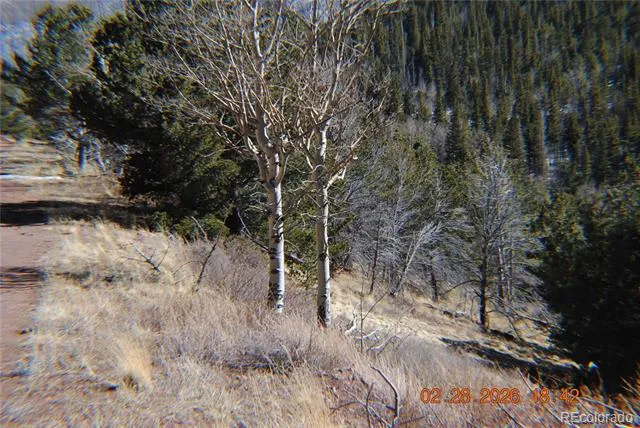 2734 NEWMAN Fort Garland, CO 81133