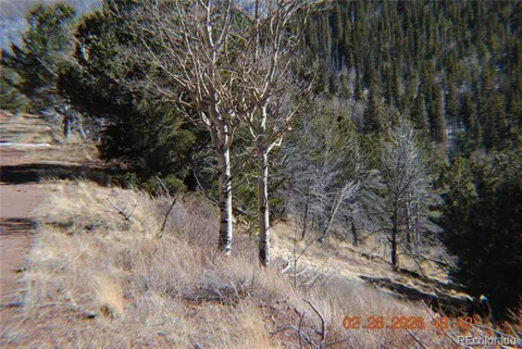2734 NEWMAN
