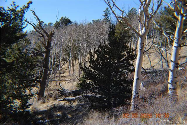 2734 NEWMAN Fort Garland, CO 81133
