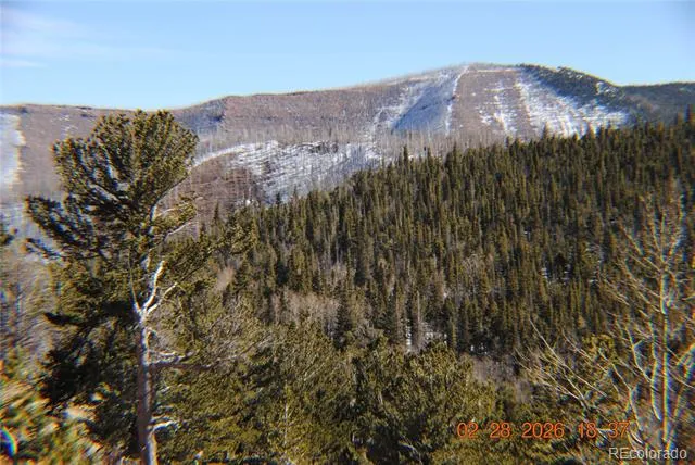 2734 NEWMAN Fort Garland, CO 81133