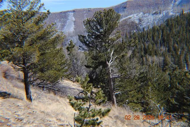 2734 NEWMAN Fort Garland, CO 81133