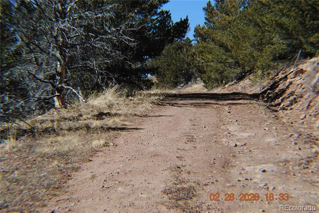 2734 NEWMAN Fort Garland, CO 81133