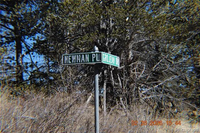 2734 NEWMAN Fort Garland, CO 81133