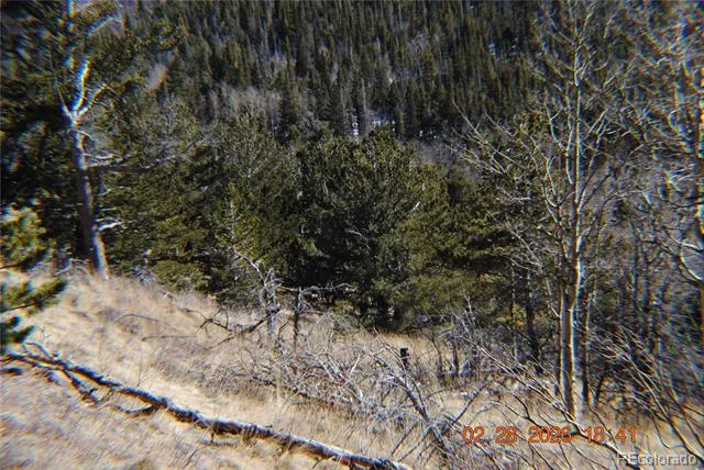 2734 NEWMAN Fort Garland, CO 81133