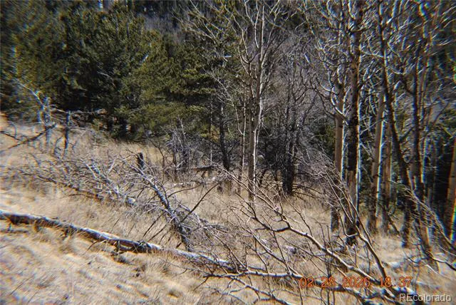 2734 NEWMAN Fort Garland, CO 81133