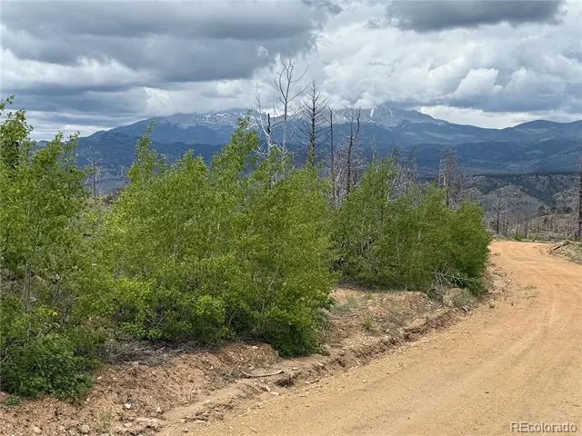 Lot 383 Soubry Place Fort Garland, CO 81133