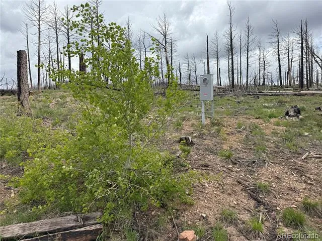 Lot 383 Soubry Place Fort Garland, CO 81133
