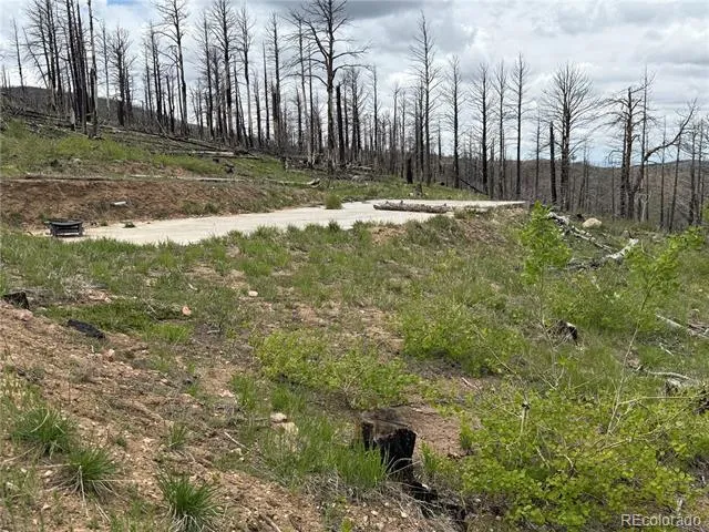 Lot 383 Soubry Place Fort Garland, CO 81133