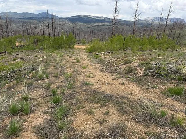 Lot 383 Soubry Place Fort Garland, CO 81133
