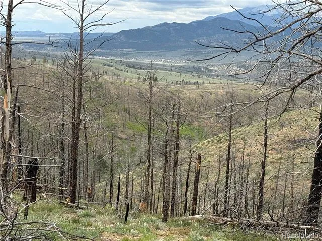 Lot 383 Soubry Place Fort Garland, CO 81133