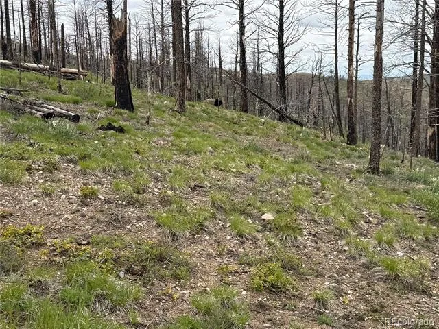Lot 383 Soubry Place Fort Garland, CO 81133