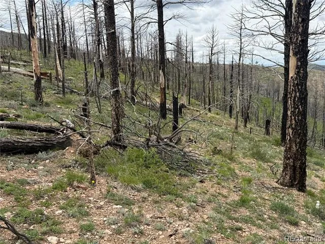 Lot 383 Soubry Place Fort Garland, CO 81133