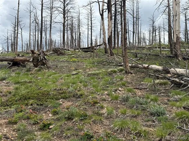 Lot 383 Soubry Place Fort Garland, CO 81133
