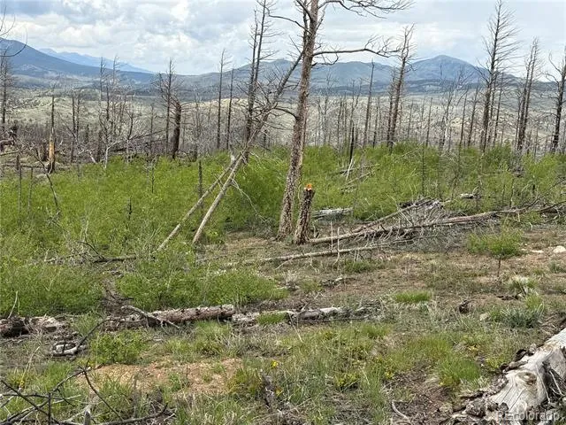 Lot 383 Soubry Place Fort Garland, CO 81133