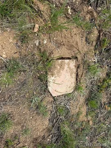 Lot 383 Soubry Place Fort Garland, CO 81133