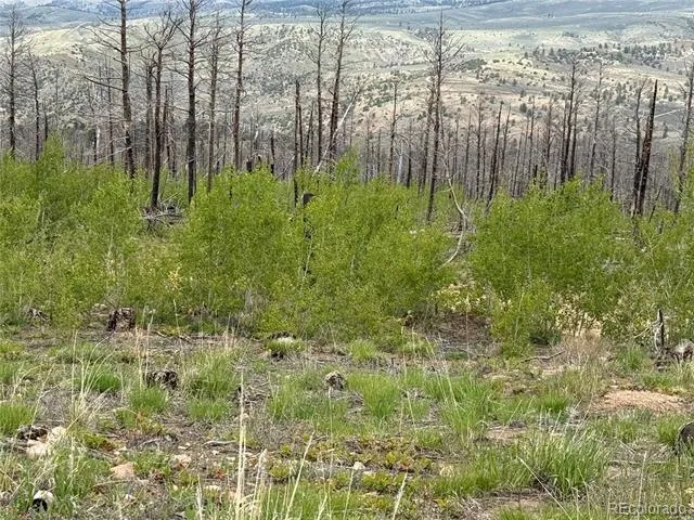 Lot 383 Soubry Place Fort Garland, CO 81133