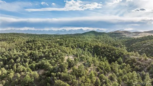 48 Alex Court Cotopaxi, CO 81223