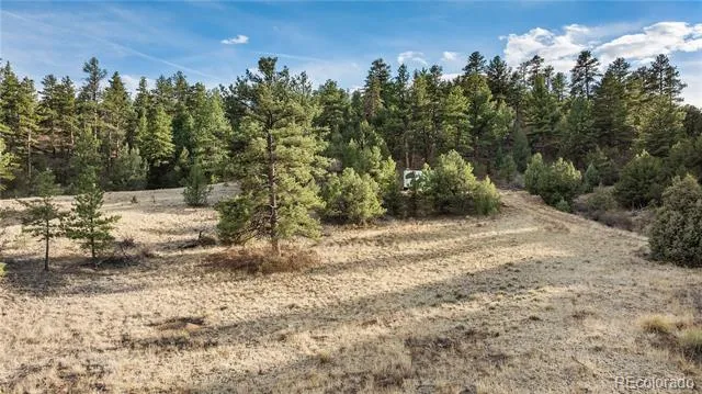 48 Alex Court Cotopaxi, CO 81223