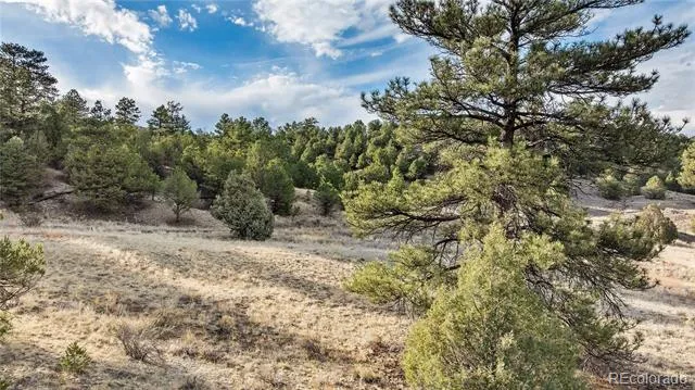 48 Alex Court Cotopaxi, CO 81223
