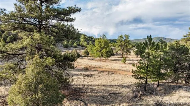 48 Alex Court Cotopaxi, CO 81223