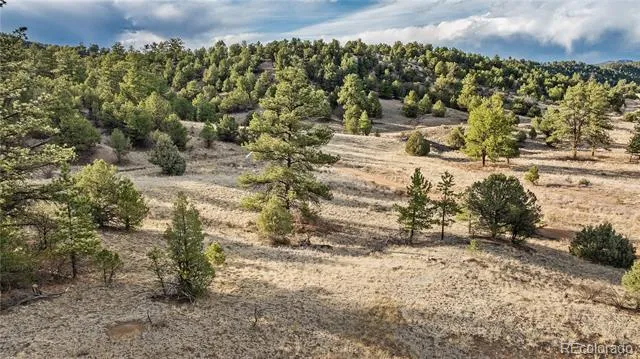 48 Alex Court Cotopaxi, CO 81223