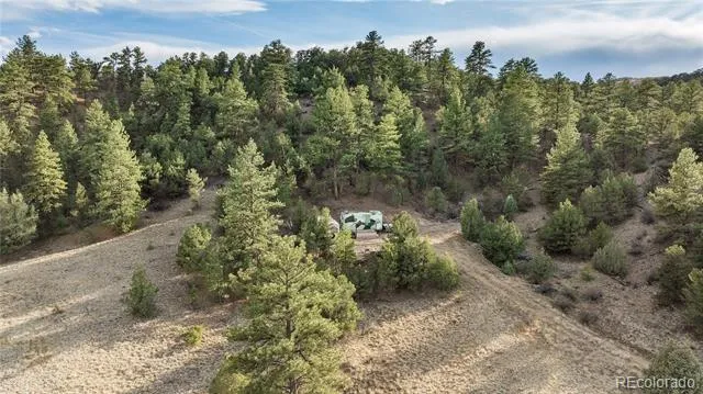 48 Alex Court Cotopaxi, CO 81223