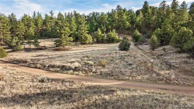 48 Alex Court Cotopaxi, CO 81223
