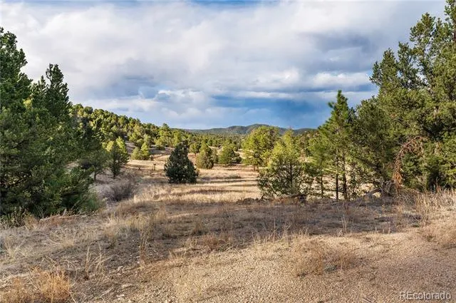 48 Alex Court Cotopaxi, CO 81223