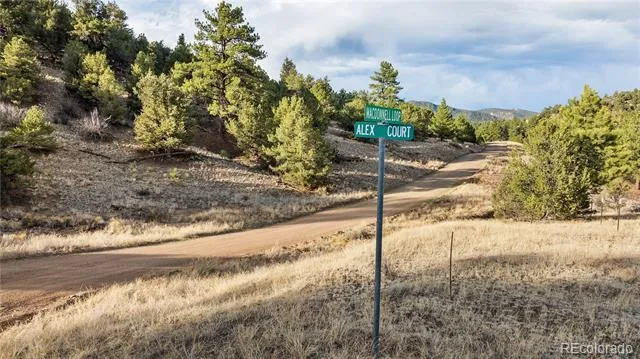 48 Alex Court Cotopaxi, CO 81223